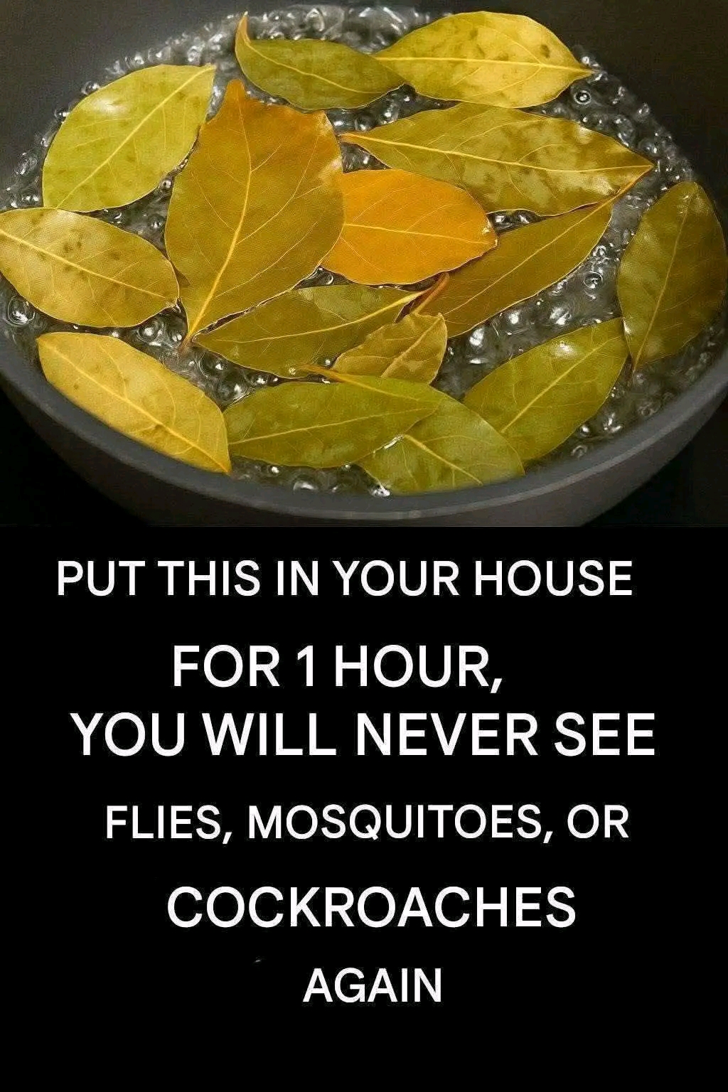 1762747875987