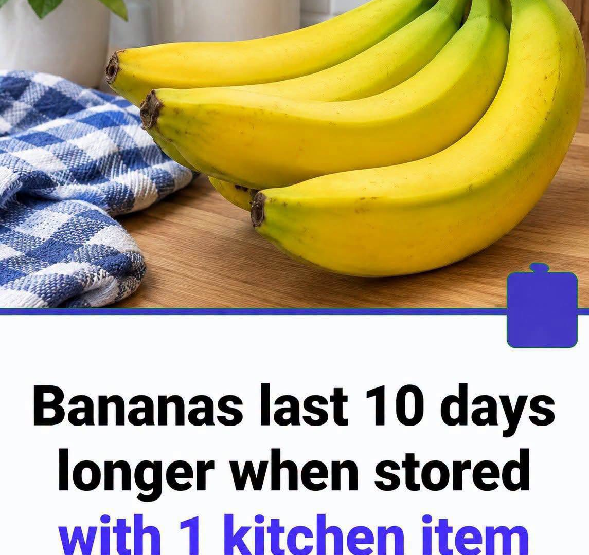827995590_1092312883497902_2261255198226852617_n