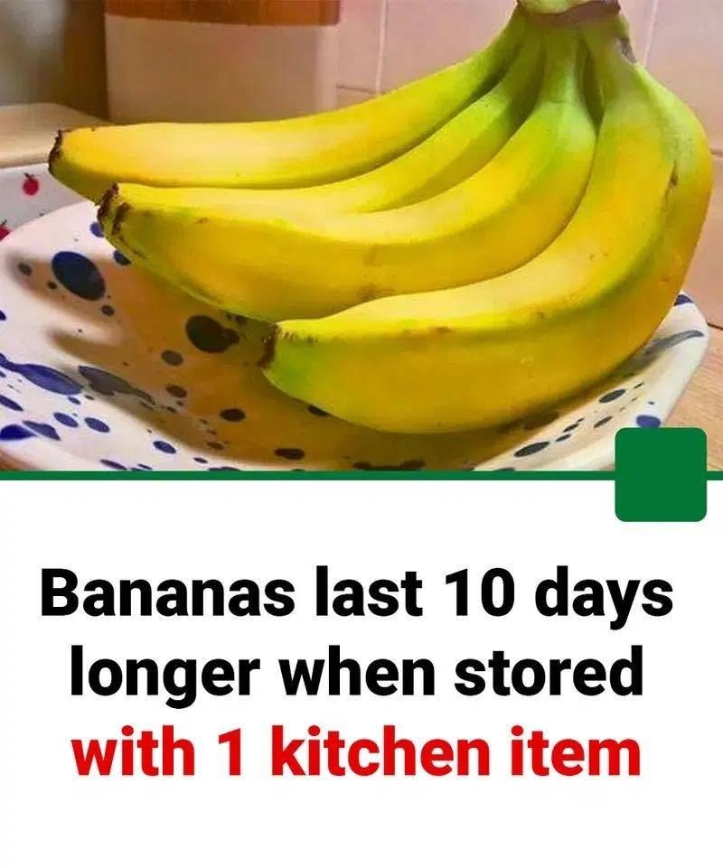 836459719_3247860998758407_1878588350689561010_n