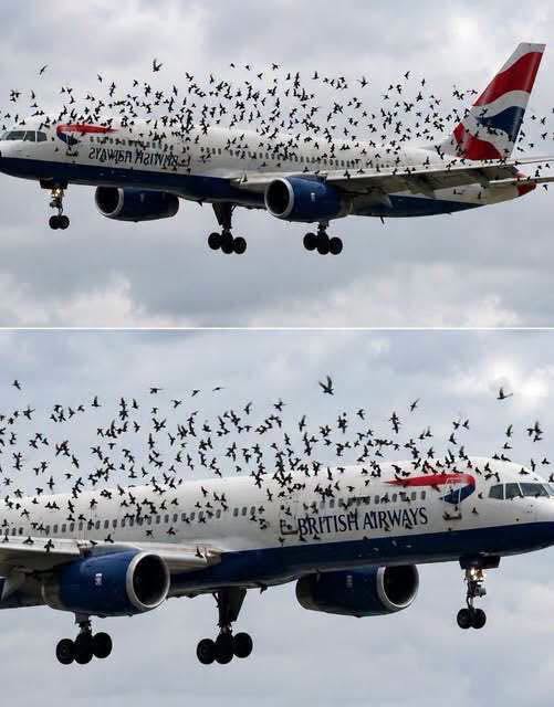 853676581_1638001718110212_5209715877049260084_n