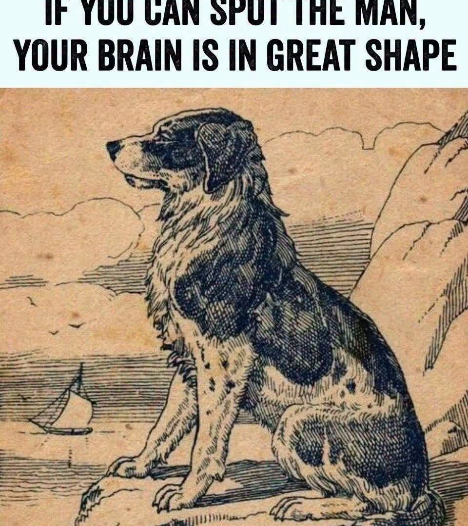 Can You Spot the Hidden Man in This Picture? Try This Optical Illusion! 857745934_2239224963639448_5437906376130018217_n